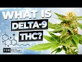 What is Delta 9 THC