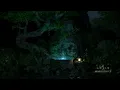Rain Sounds at Night | Mountain Forest Ambience