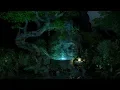 Download Lagu Rain Sounds at Night | Mountain Forest Ambience