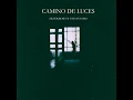 Camino de Luces (feat. Vaya Futuro) - Silver Rose