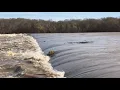 Demopolis Lock and Dam Flood