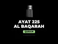 Download Lagu Al Baqarah Ayat 225 | Ayah Quran Surah Baqarah by Mishary bin Rashid Alafasy
