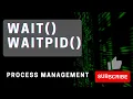 wait waitpid System Call Monitoring Child Process Waiting Child to Finish