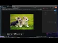 Image Processing API CDN