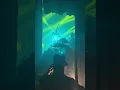 GREEN VALLEY | LAS GANAS DE VIVIR EN VIVO EN URUGUAY