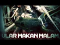 Download Lagu Ular makan anak kodok di malam hari