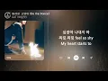 ILLIT (아일릿) - 빌려온 고양이 (Do the Dance) (1시간) / 가사 | 1 HOUR