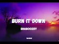 Shaboozey - Burn It Down (LYRICS)