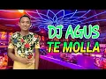 Download Lagu DJ AGUS - TE MOLLA | ARNON FT. KILLUA