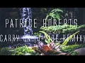 Patrice Roberts - Carry On (J-Vibe Reggae Remix)