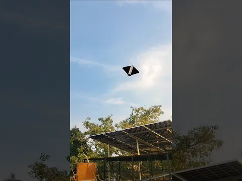 kite looting from another rooftop 😨।। #shorts #kitelooting #kite #patang #patangwala #looting #alpha