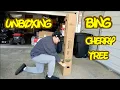 Unboxing Bing Cherry Tree Ty Ty Nursery