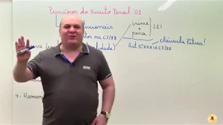 PRINCÍPIOS CONSTITUCIONAIS PENAIS