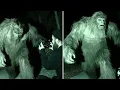 Download Lagu Turistas Desaparecem Após Encontro com Bigfoot nas Smoky Mountains! Encontro Insano com BIGFOOT