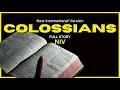Christ Over All Bible with Text NIV Colossians