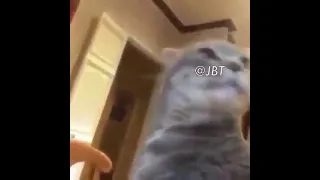 ياريتني كنت انا 