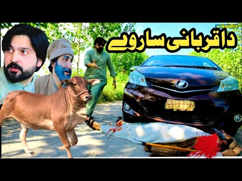 Da Qurbani Sarway Islahi Video By PK Plus Vines 2024 | pk plus