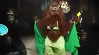 هما الحلوين دندنها