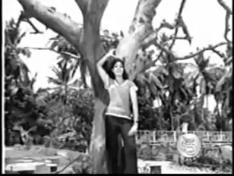 Mogam Ennum Raagam - YouTube