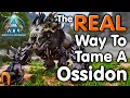 Lagu Ark OSSIDON TAMING \u0026 Abilities!