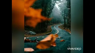 محمد الصاوي نصيبي وقسمتك Mohamed El Sawiy  محمد الصاوي نصيبي وقسمتك Mohamed El Sawiy