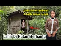 Lagu BERSEMBUNYI DI HUTAN BERHANTU!! 10 TAHUN MEMILIH TINGGAL DI RUMAH POHON