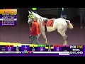 Fair Grounds Today
