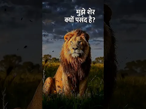 why I love lions 🦁 💙