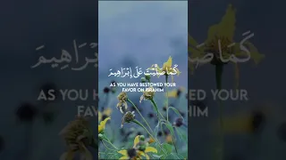 اللهم صل على محمد وآل محمد بيشة قادر الكردي 