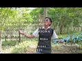 Download Lagu BAPAK - Mawan SalBa - Slowrock Lampung - Official Music Video