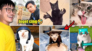 Video Kucing Lucu Bikin Ketawa Yang Sedang Viral