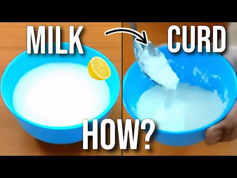 Download MP3 Milk To Curd By Adding Lemon Juice| Coagulation | Precipitation Of Milk Science Experiment