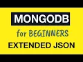 MongoDB Tutorial for Absolute Beginners 13 What is Extended JSON
