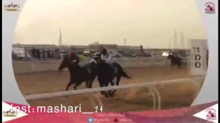 اسطبل الفرماوي دندنها