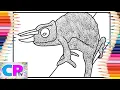Jackson s Chameleon Coloring - Talk