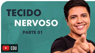 TECIDO NERVOSO PARTE 01 - HISTOLOGIA HUMANA - Prof. Kennedy Ramos