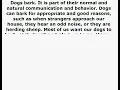 Dog Barking Problem Solved Book Review