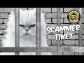 Download Lagu PENIPU TIKET
