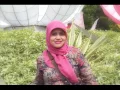 Download Lagu Gereget RITA TILA