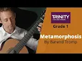 Download Lagu Metamorphosis by Barend Tromp