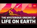Download Lagu The mysterious origins of life on Earth - Luka Seamus Wright