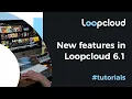 New Features - Loopcloud 6 1