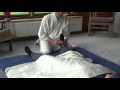 Healing Shiatsu demonstration