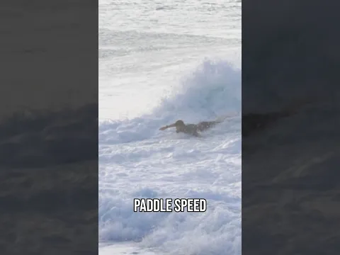 How much paddle u have in the tank