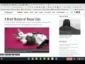 Exploring the Explore Tool