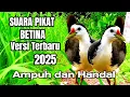 Download Lagu SUARA PIKAT RUAK RUAK BETINA VERSI TERBARU 2025 AMPUH DAN HANDAL