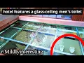 Download Lagu oddly interesting reddit