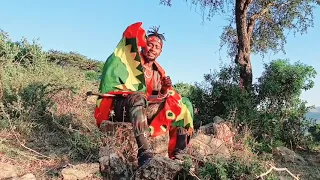 Jaal Nimoo Waadaa Gootaa 430 Halaa Yeroo Irraatti 