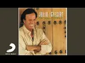 Julio Iglesias - Dois Amigos (Feat. With Zezé di Camargo \u0026 Luciano) (Cover Audio)
