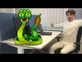 Coding snake in 5 minutes with Javascript